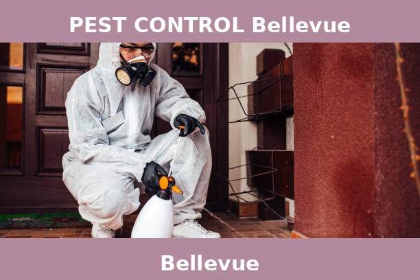 PEST CONTROL Bellevue